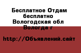 Бесплатное Отдам бесплатно. Вологодская обл.,Вологда г.